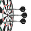 Soft tip Darts Set 14g with Molded Flights&100 Plastic Points