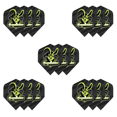 MageRabbit 15pcs PET Dart Flights Standard,0.12mm thickness